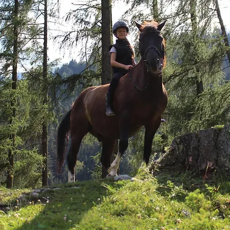 Zirbenchalet Grossglockner היליגנבלוט