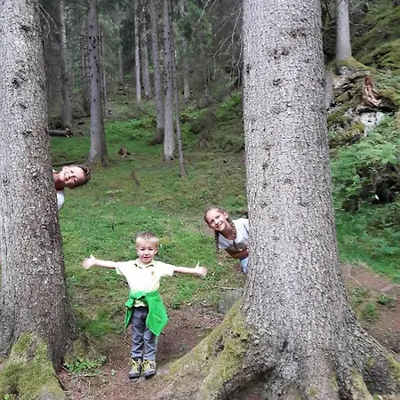 Zirbenchalet Grossglockner *