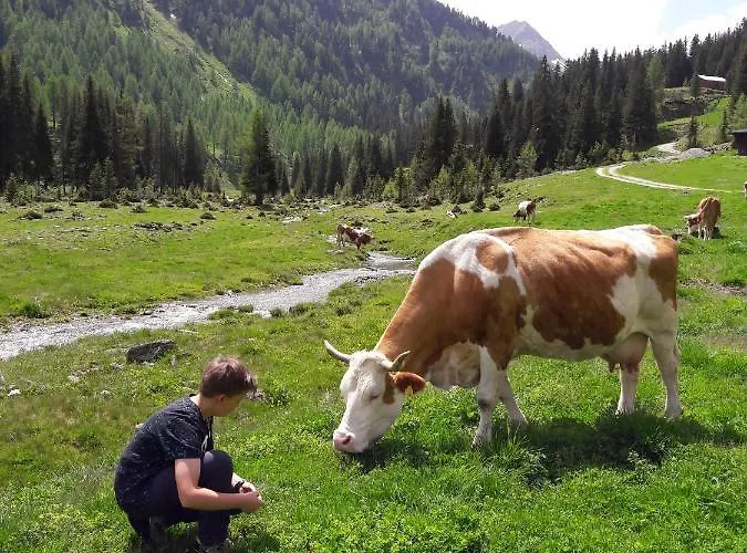 Zirbenchalet Grossglockner Chalet